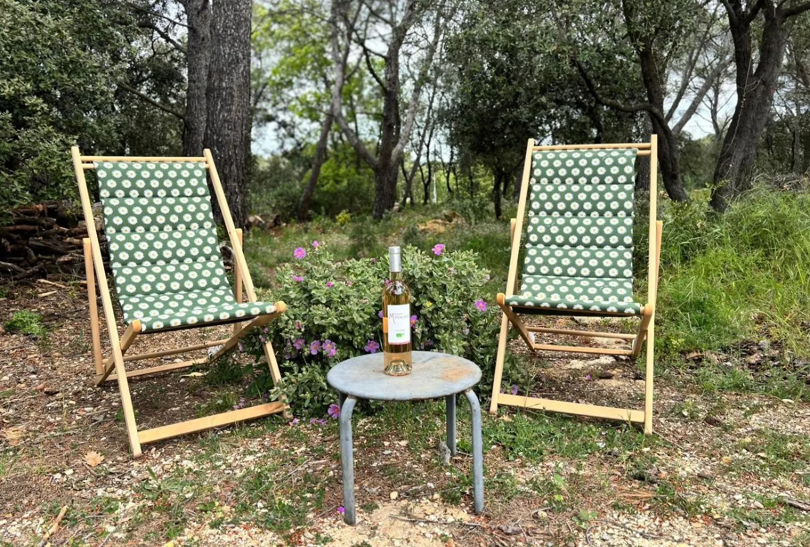 Maison Dans La Pinede Villa Rognes